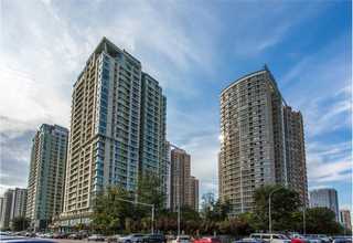 河源户外庭院绿植