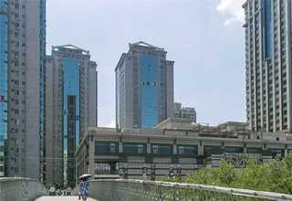 安徽菠萝格木材多少钱一吨